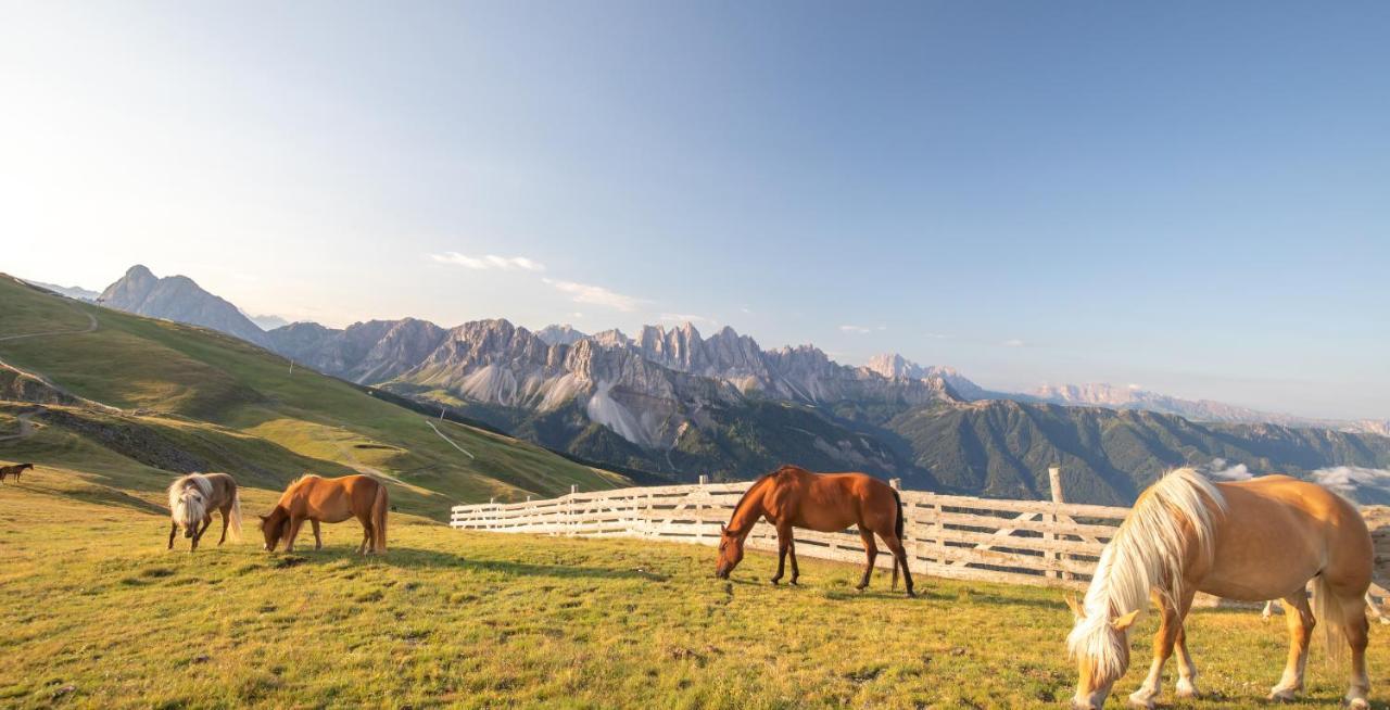 بريسّانوني Residence Alpenrose المظهر الخارجي الصورة